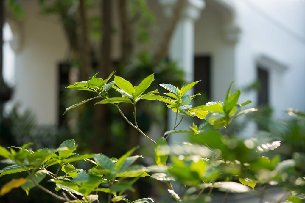 Sonalong Boutique Village & Resort Sziemreap Kültér fotó