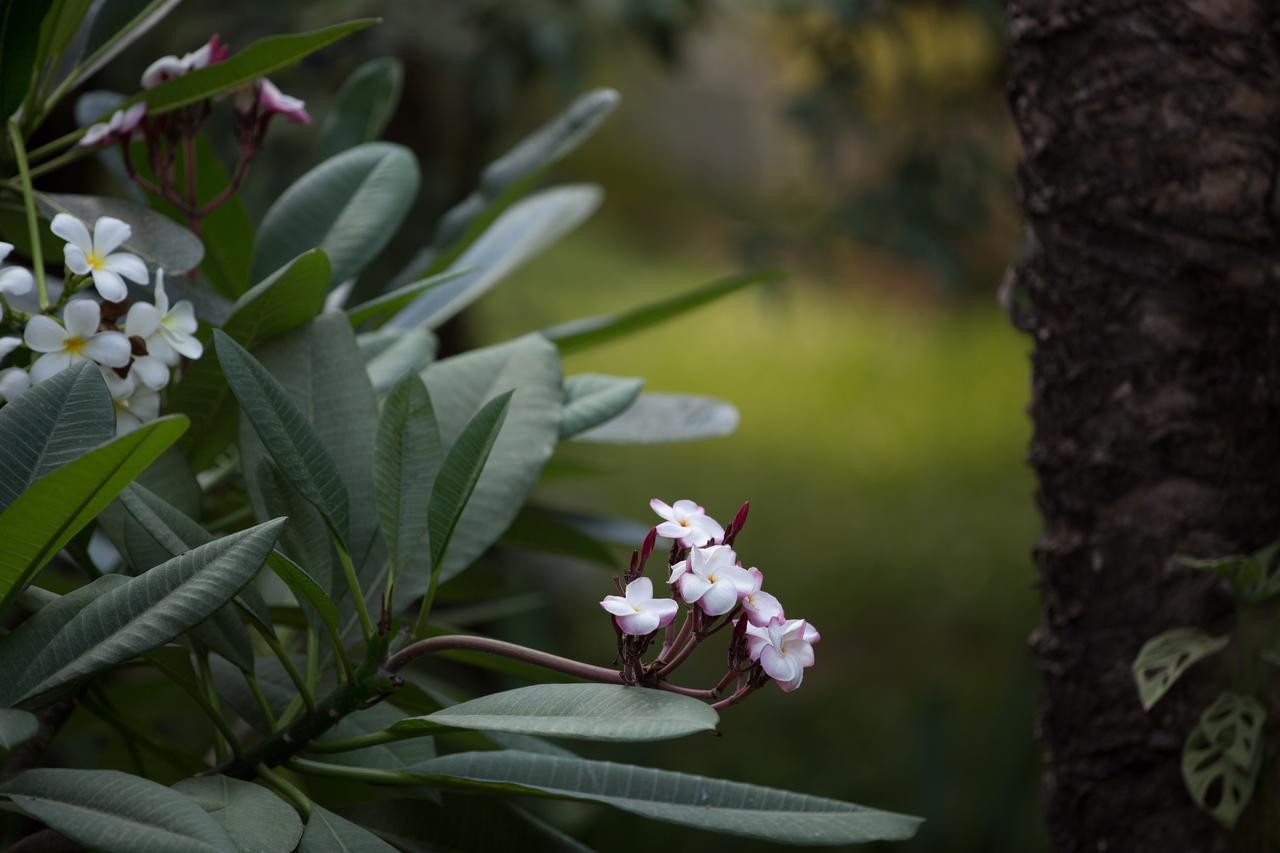 Sonalong Boutique Village & Resort Sziemreap Kültér fotó